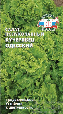 Салат Одесский кучерявец 0,5г