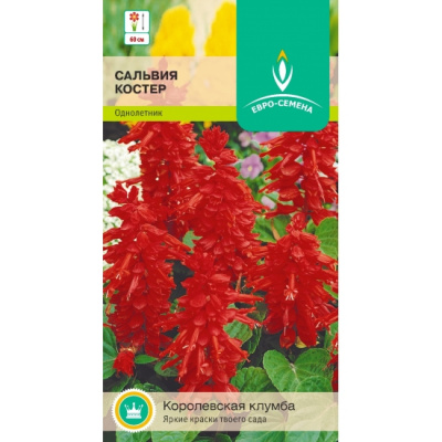 цСальвия Костер 0,1г