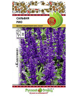 Сальвия Рио 20шт
