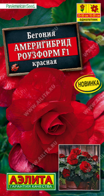 Бегония Америгибрид Роузформ красная 5шт