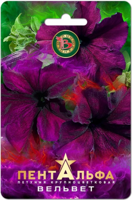 Петуния Пентальфа Вельвет 15шт