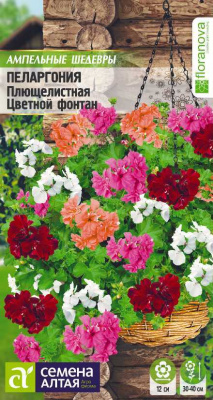 цПеларгония Цветной фонтан плющелистная 3 шт