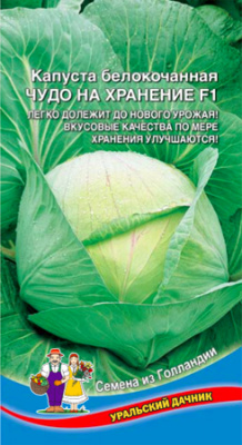 Капуста бк Чудо на хранение