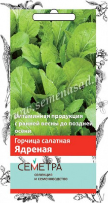 Горчица Ядреная 1г (Семетра)