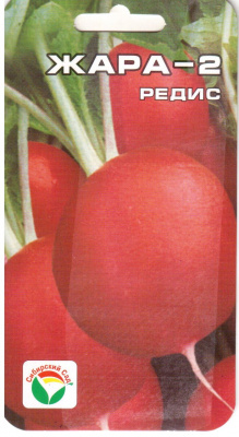 Редис Жара-2 2 г.
