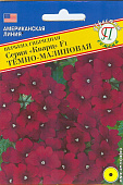 цВербена Кварц Темно-Малиновая 10 шт США