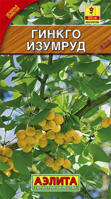 цГинкго Изумруд 2шт