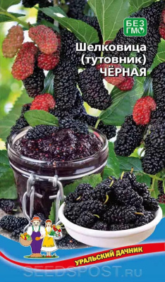 Шелковица (тутовник) Чёрная 0,15г