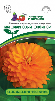 Цинния Мандариновый конфитюр (Барышня-крестьянка) 5шт