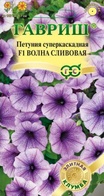 Петуния Волна сливовая (минитуния) 4шт