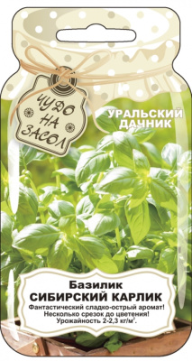 Базилик Сибирский карлик (Банка)