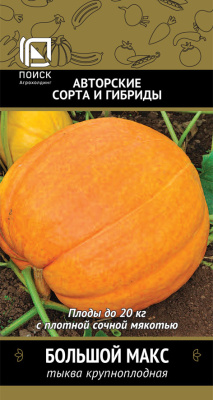Тыква Большой Макс 10шт крупноплодная
