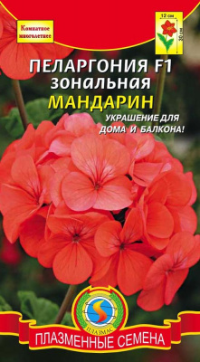 цПеларгония Мандарин 3шт