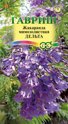 Жакаранда Дельта 3шт.