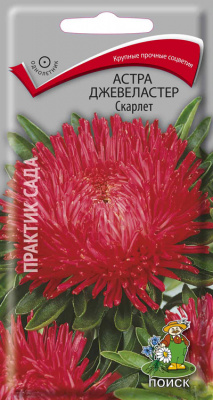 цАстра Джевеластер Скарлет 0,3г