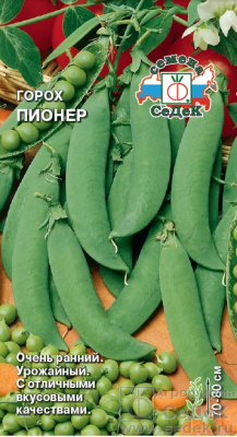 Горох Пионер