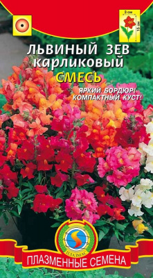 цЛьвиный зев Карликовый смесь
