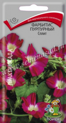цФарбитис Сплит