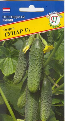 Огурец Гуннар 5шт Голландия)