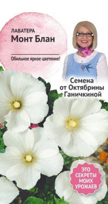 цЛаватера Монт Блан 0,3г (семена от Ганичкиной)