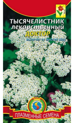 Тысячелистник Доктор лекарственный