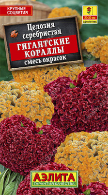 Целозия Гигантские Кораллы 0,05г