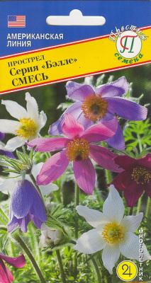 Прострел Беллс Смесь 5шт