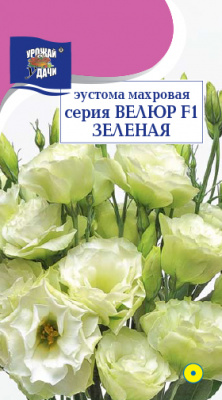 Эустома Велюр зелёная махр 5шт