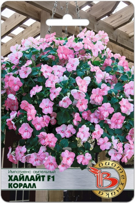 Импатиенс Хайлайт коралл амп. 10шт