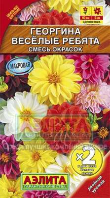 цГеоргина Веселые ребята Л*2=0,6г