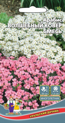 цАрабис Волшебный ковер