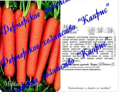 Морковь Самсон (20пак*1г) Нидерланды