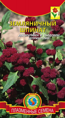 Шпинат Земляничный