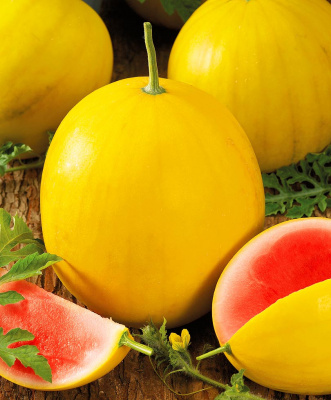 Арбуз Золото Волицы 3шт