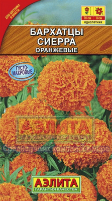 цБархатцы Сиерра светло-оранжевые