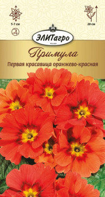 цПримула Первая Красавица оранжево-красная 0,01г