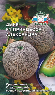 Дыня Принцесса Александра