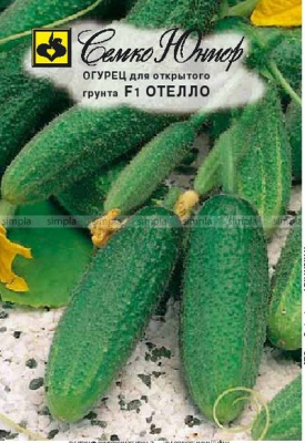 Огурец Отелло