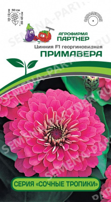 Цинния Примавера (Сочные тропики)4шт