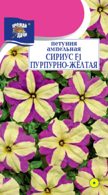 Петуния Сириус Пурпурно-жёлтая 10шт