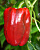 Перец Кинг 3шт