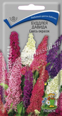 Буддлея Смесь (Давида) 10шт
