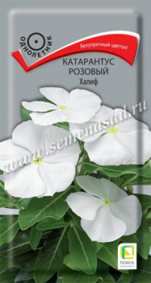 Катарантус Халиф (розовый) 0,1г