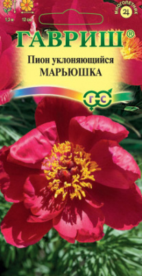 Пион Марьюшка 3 шт