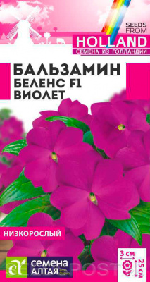 цБальзамин Беленс Виолет 4шт