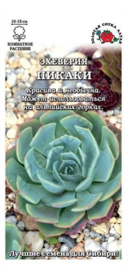 цЭхеверия Пикаки 5шт