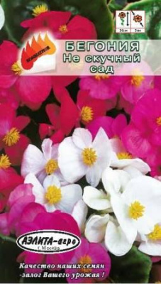 цБегония Не скучный сад, смесь 0,01г