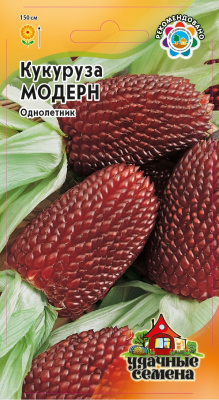 цКукуруза декор. Модерн 15шт УС