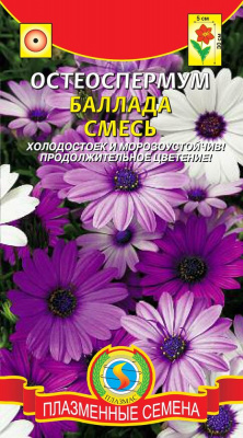 цОстеоспермум Баллада смесь 4шт