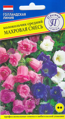 цКолокольчик средний Махровая смесь